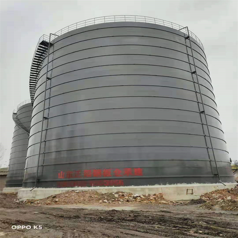 东郊镇3万吨大型钢板库